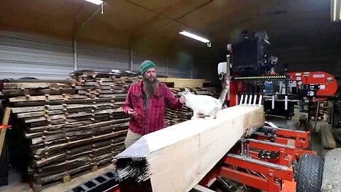 You've Probably Never Seen Oak Like This Before On A Sawmill,