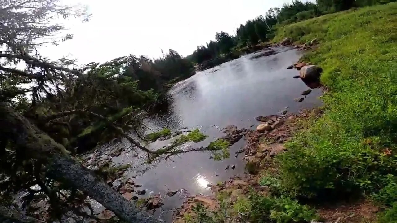 Exploring The Falls! #explore #canada #adventure