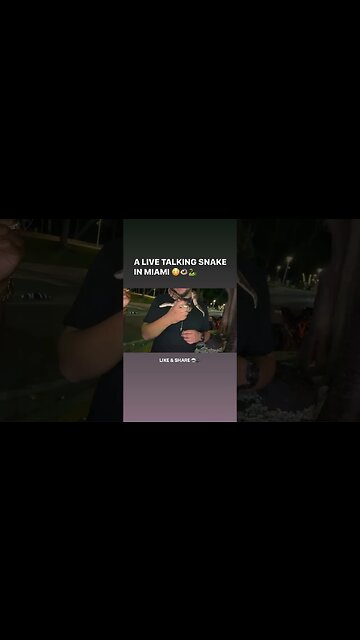 A SNAKE TALKS BACK & BITES OWNER 🐍😳 #shorts