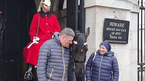 The Horse wants to know what's in your pockets #horseguardsparade