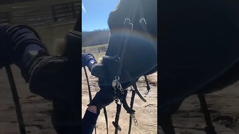 Stretchy! ￼