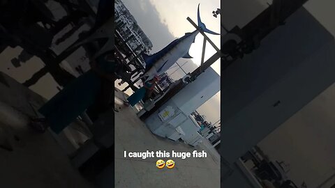 I caught this huge fish 🤣🤣