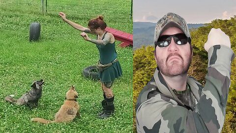 Agility Trained Foxes! (SaveAFox) REACTION!!! (BBT)
