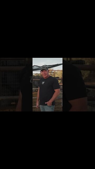 🌱 homestead oasis #shorts