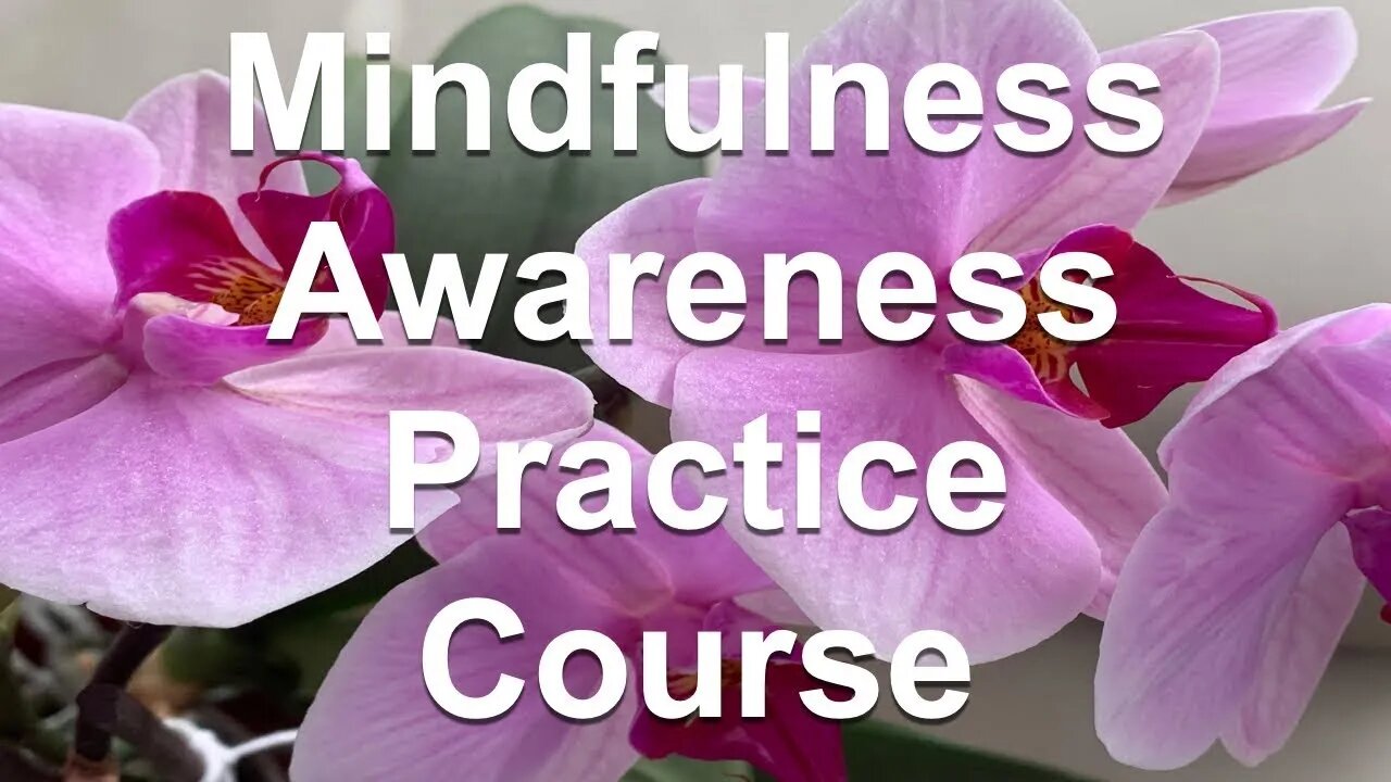 Mindfulness Awareness Practice Techniques