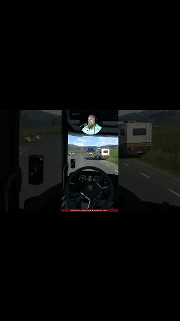 Sheeps on the road #eurotrucksimulator2 #est2 #game #sweden #streamer #mrandmrswolfgaming #shorts