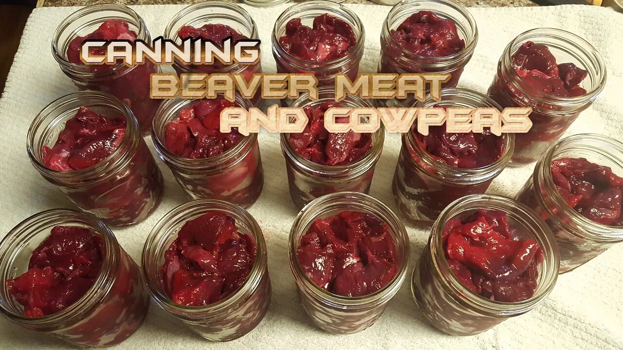 How to can beaver meat, butterbeans and cowpeas