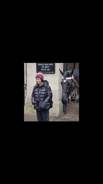 Horse tried to bite her but she still had respect 🙏 #horseguardsparade