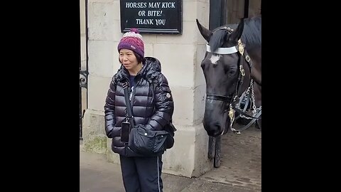 Horse tried to bite her but she still had respect 🙏 #horseguardsparade