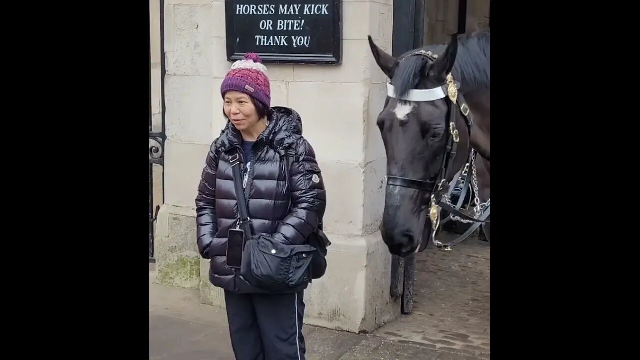 Horse tried to bite her but she still had respect 🙏 #horseguardsparade