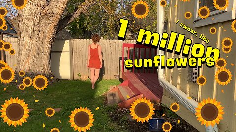 🌻 A Windy Day in May 🍃 (Relaxing Yard Work & Seed Planting)