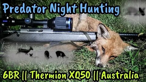 Predator Night Hunting with Thermal Shooting Equipment