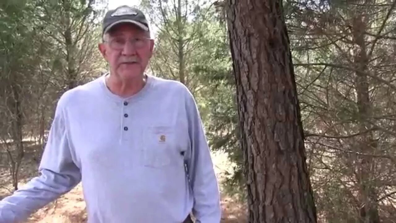 Deep Woods Thoughts #5
