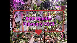 Basement Greenhouse Update (February 2023)