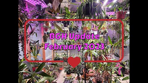 Basement Greenhouse Update (February 2023)