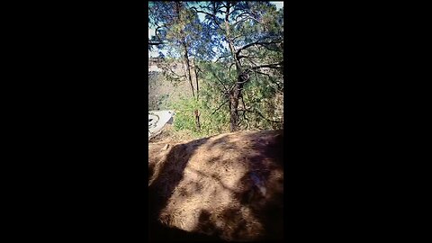 A toy train runs up to a mountain with shows some beautiful scenario