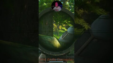 3v4 - 2 survived