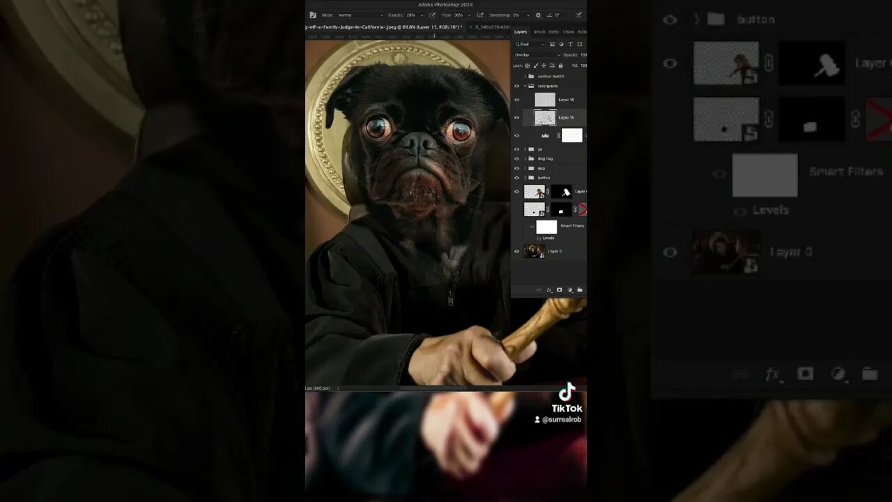 One judgmental 🐶 #photoshop loop