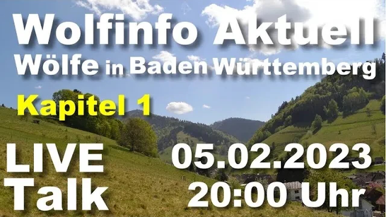 Wolfinfo Aktuell LIVE TALK 12 ( Wolfsentwicklung in Baden Württemberg )