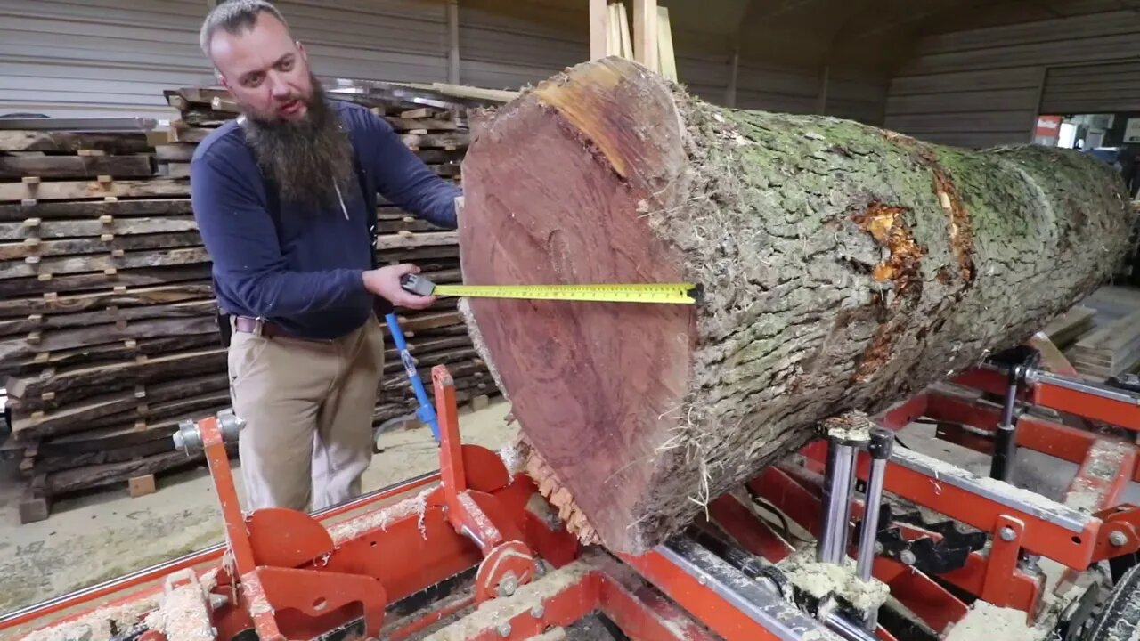 This Log Will Blow You Away, Massive Cherry On The Wood-Mizer