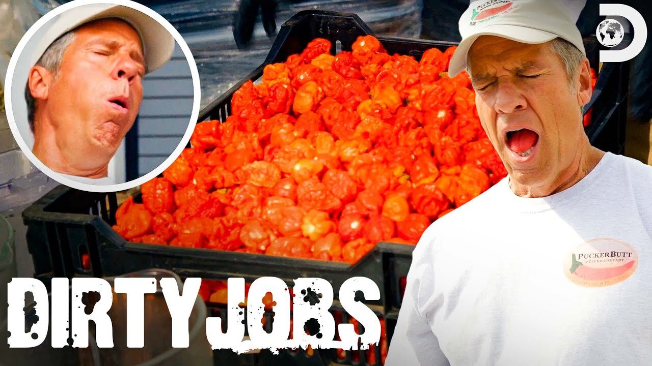 World’s Hottest Pepper! Mike Rowe Battles Carolina Reaper Seeds! Dirty Jobs