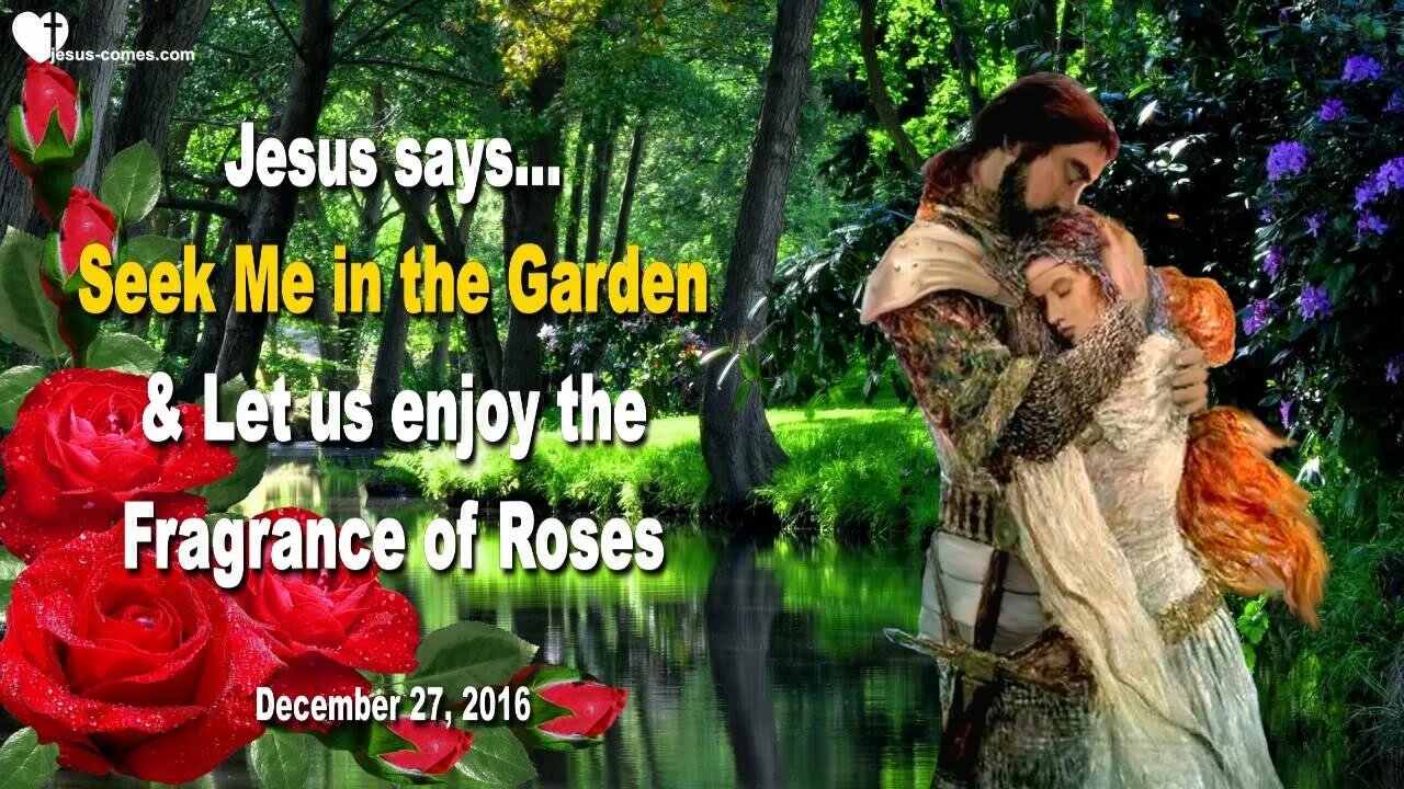 Seek Me in the Garden… Let us enjoy the Fragrance of Roses ❤️ Love Letter from Jesus Christ