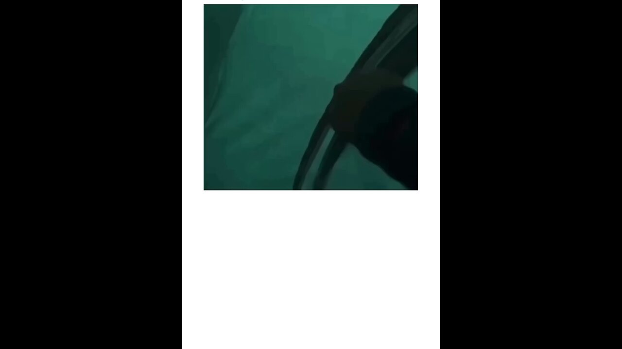 Morning surprised that scare you to death 😱😱😱