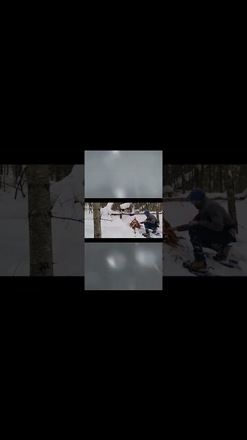 #trailer #releasedate #preview #bitchute #upcomingvideo #ytshortscanada #ytshortsvideo