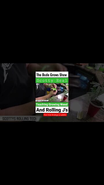 Want to learn to Grow Bud?? Subscribe & Learn for Free Now!! 🔥The Dude Grows Show 🔥