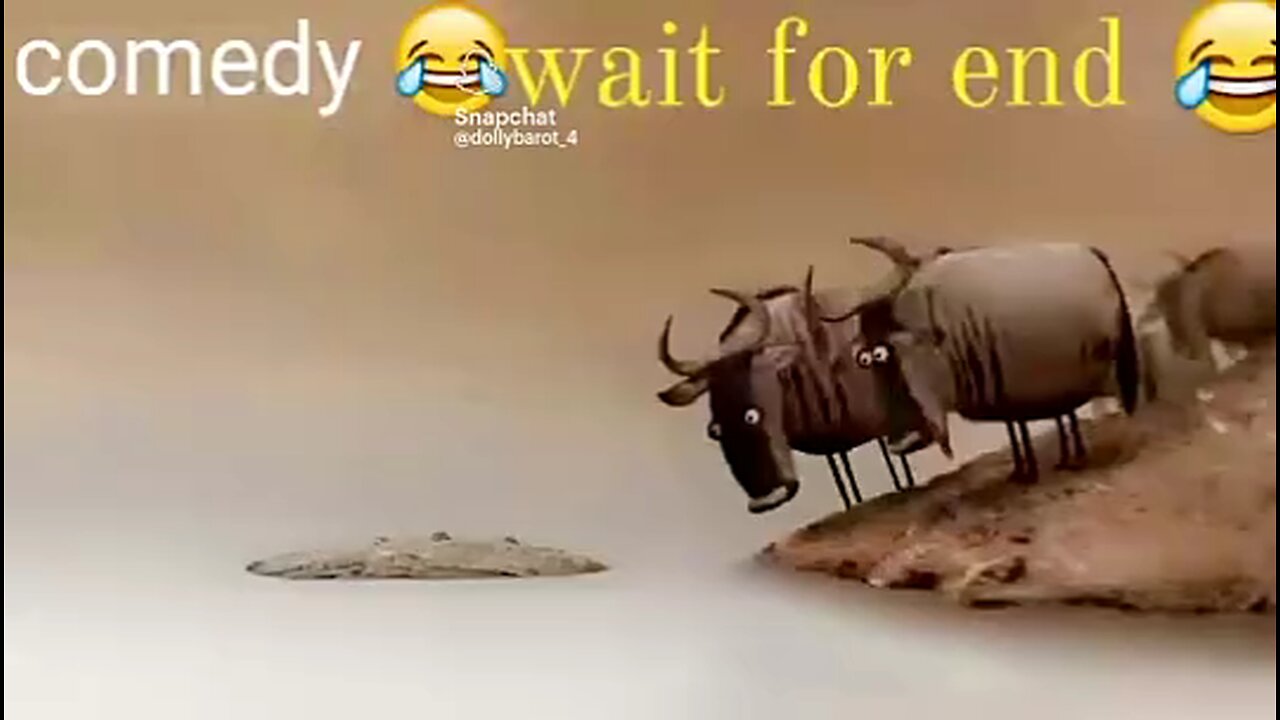 Funny videos and comedy 😜😜😜