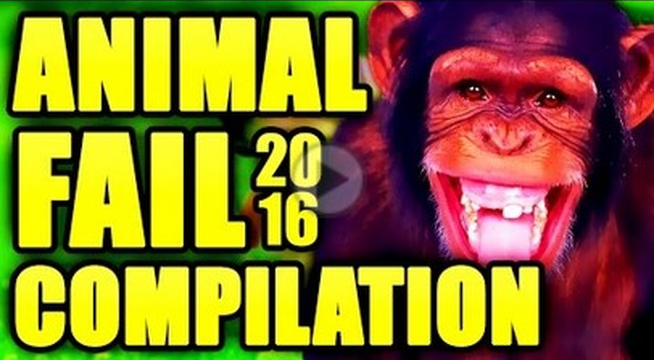 Best 2016 Animal & Pet Fail Compilation