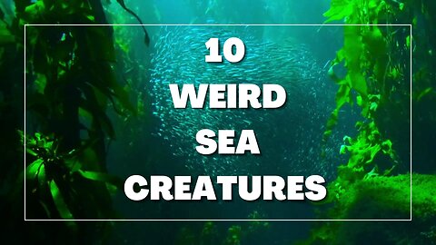 10 Weirdest Deep Sea Creatures 😳