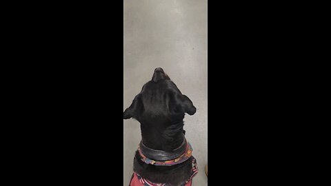 Ranger's at HomeDepot