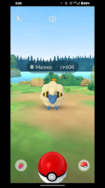 Mareep flees but I'll catch it next time