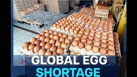 Eggs May Protect from COVID Jab (2023-)