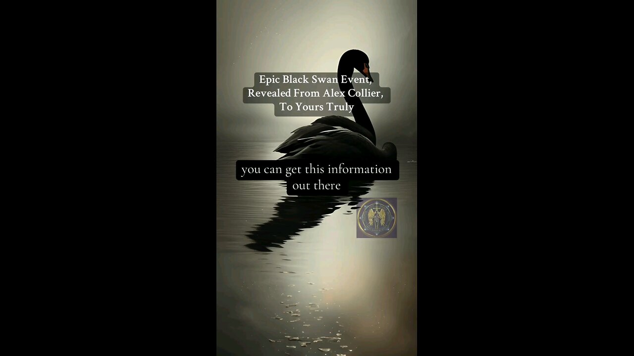 vigilance Patriots