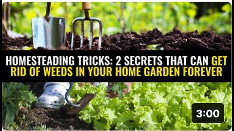 Homesteading tricks: 2 Secrets that can get rid of weeds in your home garden FOREVER