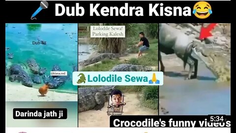 Lolodile Funny Dubbed videos lolodile Seva Crocodile Funny videos Best animal Funny videos