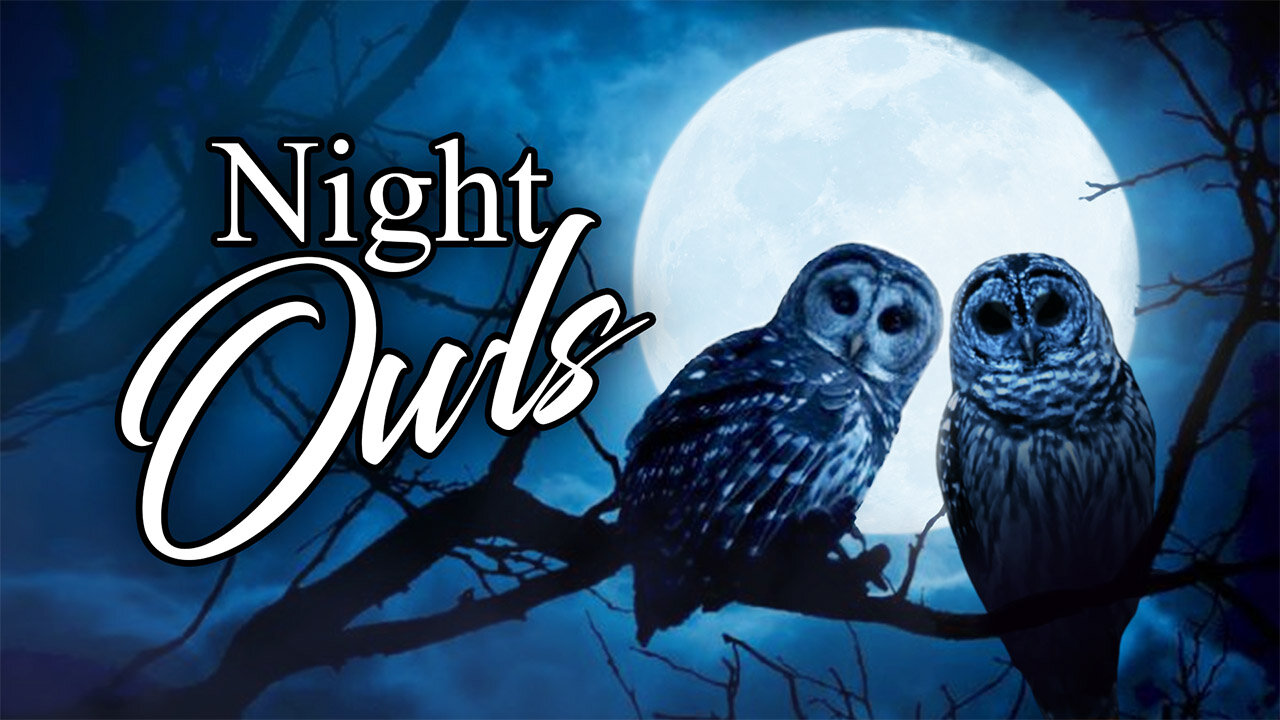 Night Owls - Thursday, October 3, 2024