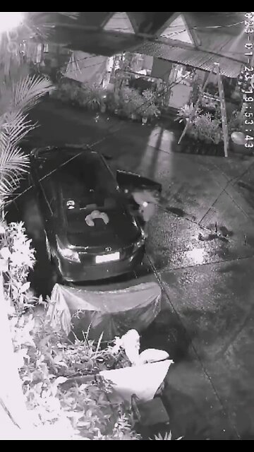 Homem flagra esposa traindo e a executa a tiros junto com amante