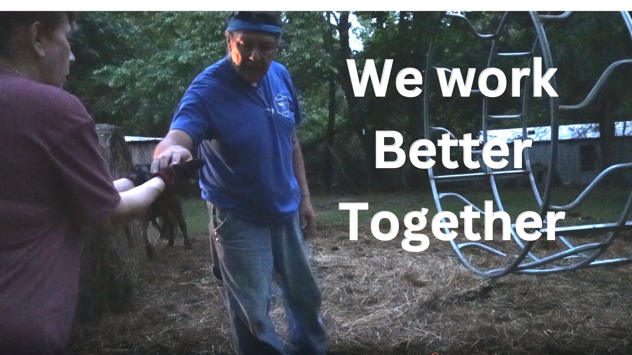 Chores Must Be Done. Day 3 of 4. We Work Better Together