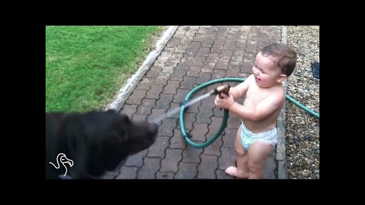 🔴Babies Laughing At Pets