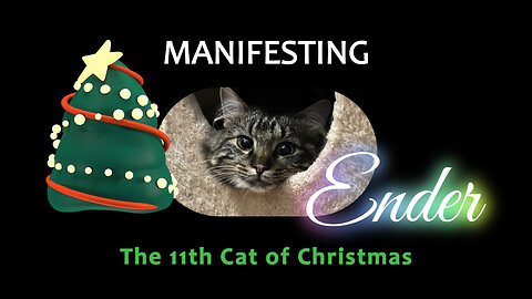 Manifesting Ender - The 11th Cat of Christmas