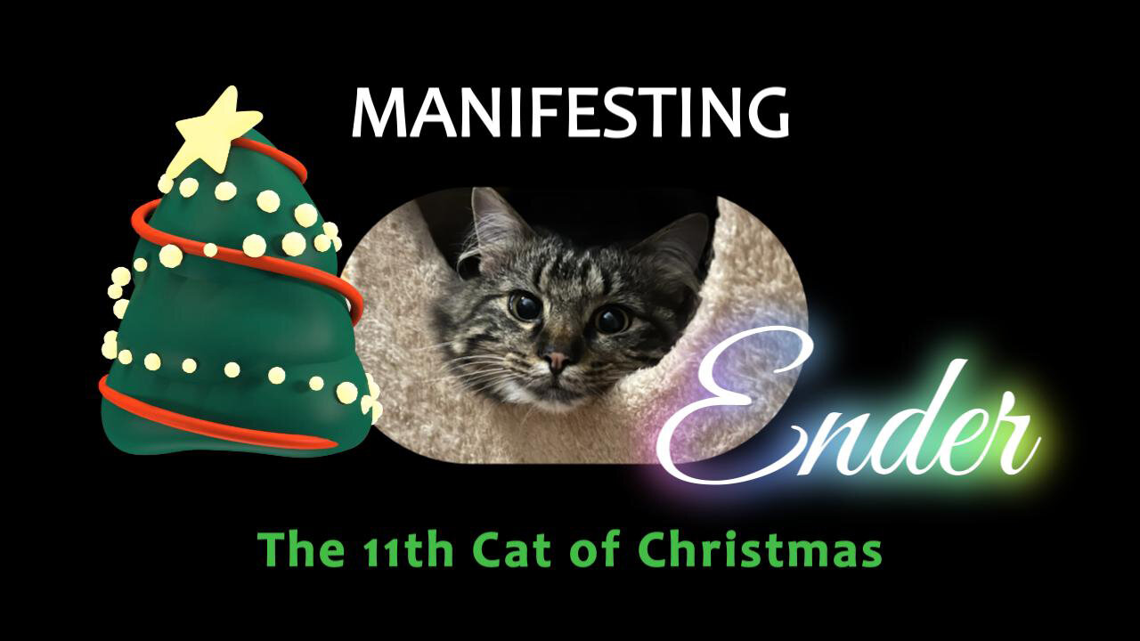 Manifesting Ender - The 11th Cat of Christmas