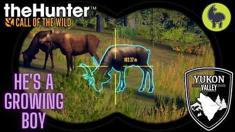 He's A Growing Boy, Yukon Valley | theHunter: Call of the Wild (PS5 4K)