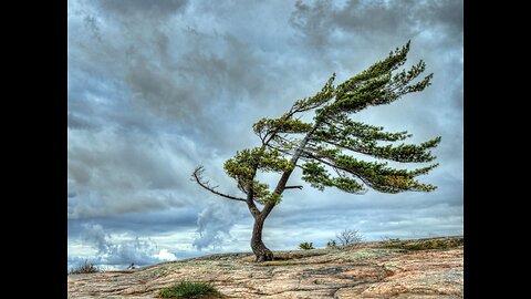 Blowin' in the Wind.