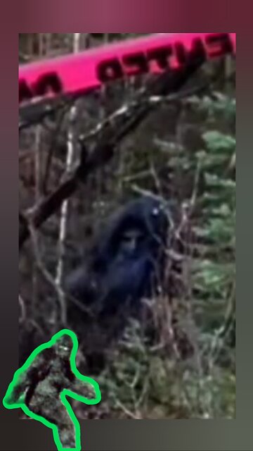 Canadian Rockies|Unknown monster showing Domination & Territory establishment👁...