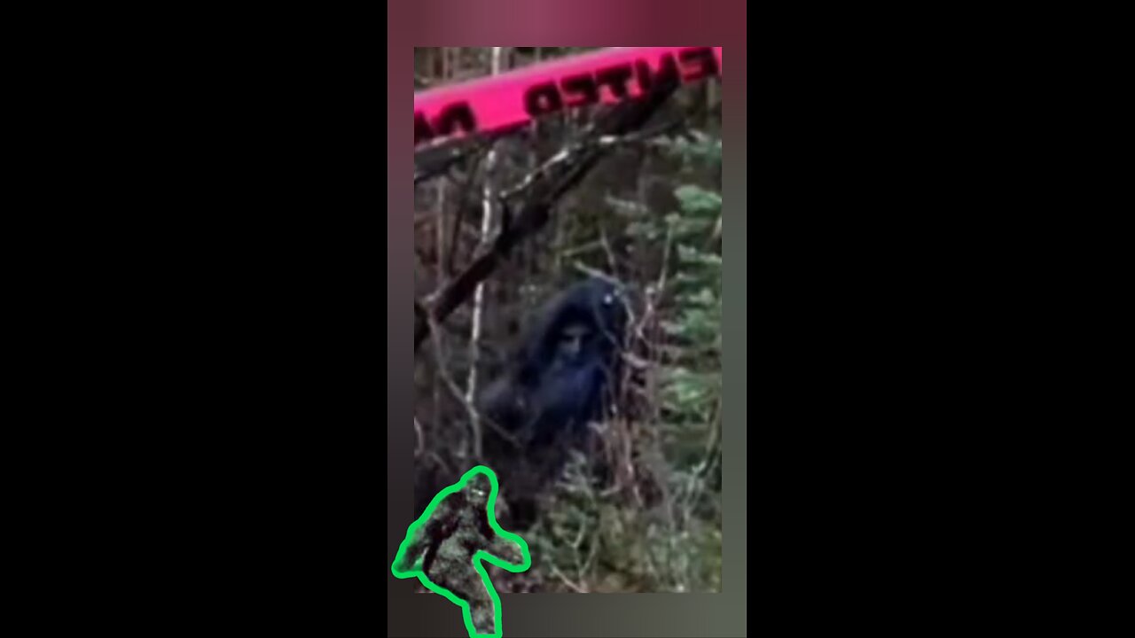 Canadian Rockies|Unknown monster showing Domination & Territory establishment👁...