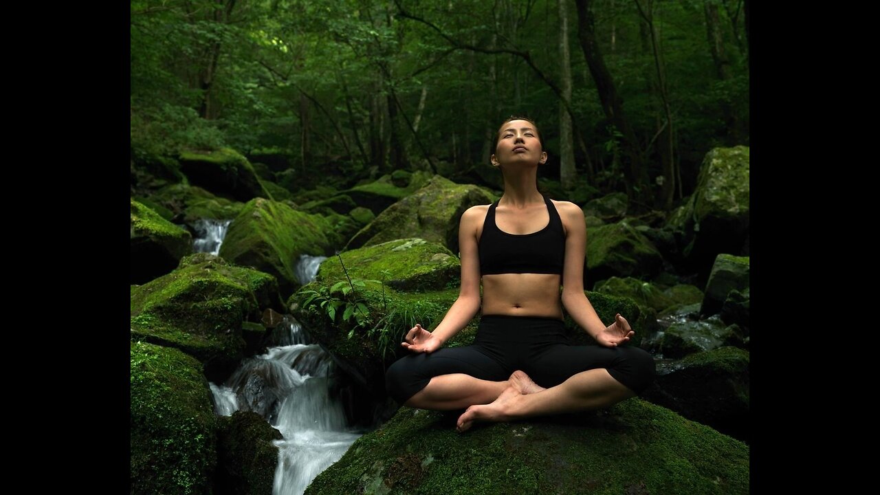 [ LIVE ] Yoga and Nature Sounds Live: Relax and Recharge