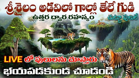 middelagudi srisailam padayatra old route trek. అతిరహస్యమైన మిద్దెలగుడిని శ్రీశైలం అడవిలో కనుగొన్నాం